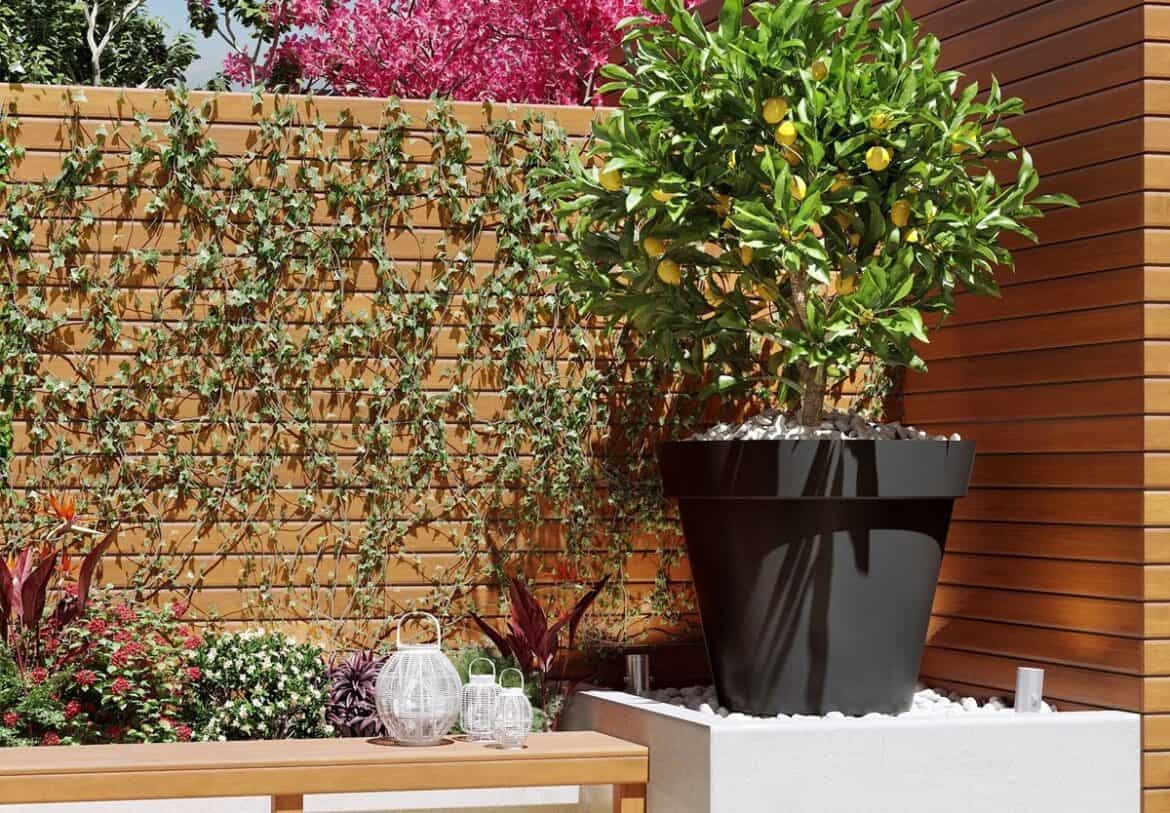 Grote bloempot in je tuin of op het dakterras