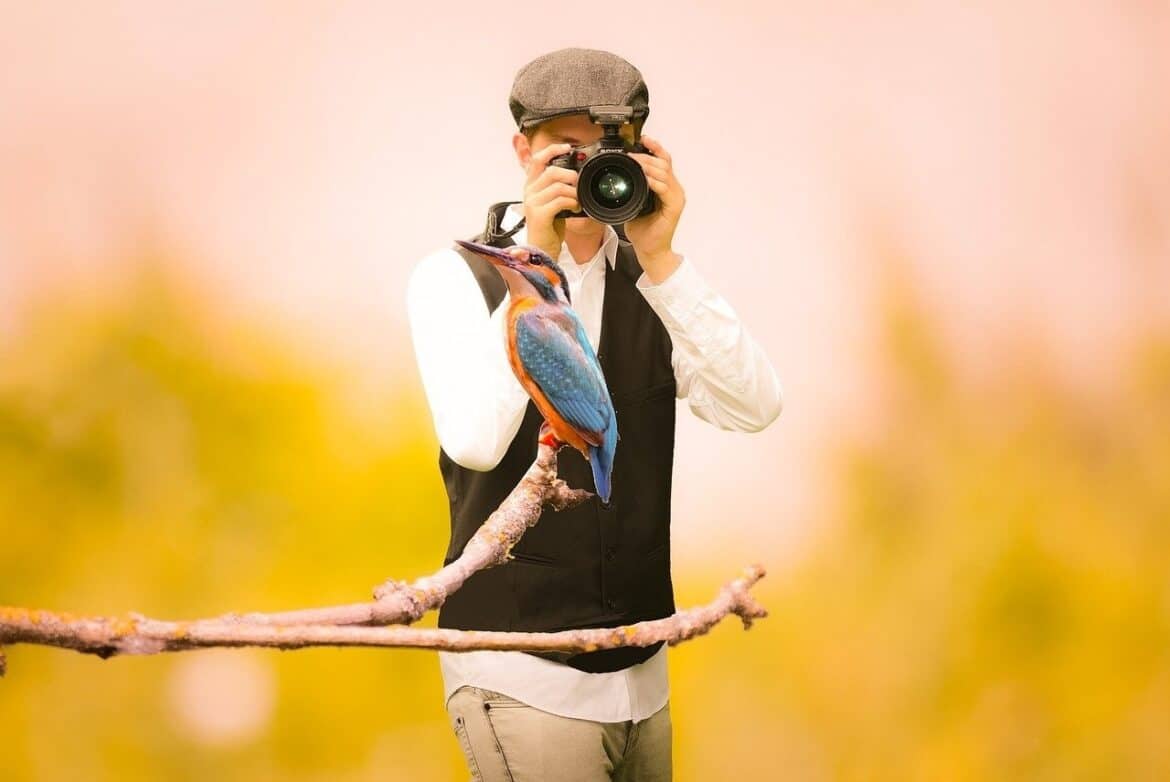 5 tips om vogels op de foto te krijgen