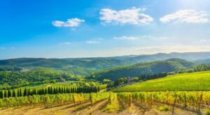 Breng ten minste één nacht door op een wijngaard