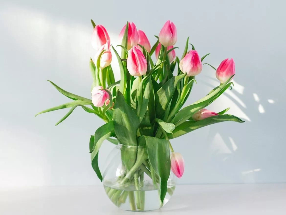 Tulpen in een vaas langer mooi houden: zo pak je het aan