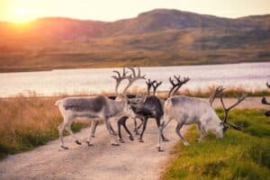 Adembenemende natuur
